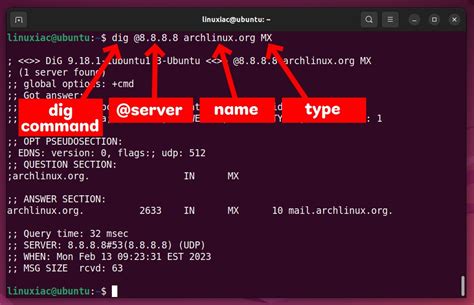 linux dns lookup command|How to Use the dig Command on Linux .